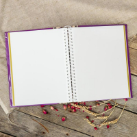 Фотоальбом магнитный 30 листов "Орнамент" 23x28см МИКС Фотоальбом магнитный 30 листов "Орнамент" 23x28см МИКС