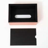 Шкатулка - диспенсер из акрила, цвет оранжевый 10 х 18 х 12 см (салфетница) Шкатулка - диспенсер из акрила, цвет оранжевый 10 х 18 х 12 см (салфетница)