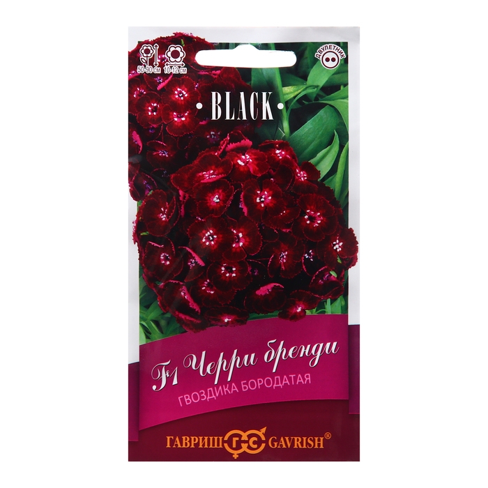 Семена Гвоздика Семена Гвоздика "Черри бренди", F1, 4 шт.