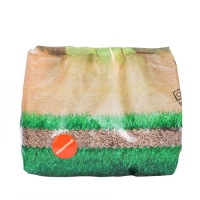 Семена газонной травы "Зеленый уголок","Ремонтный", 0,5 кг Семена газонной травы "Зеленый уголок","Ремонтный", 0,5 кг