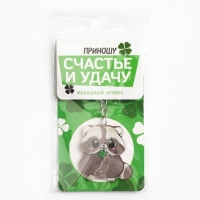 Брелок для ключей акриловый &laquo;Приношу счастье и удачу&raquo;, 9.7 х 4.5 см