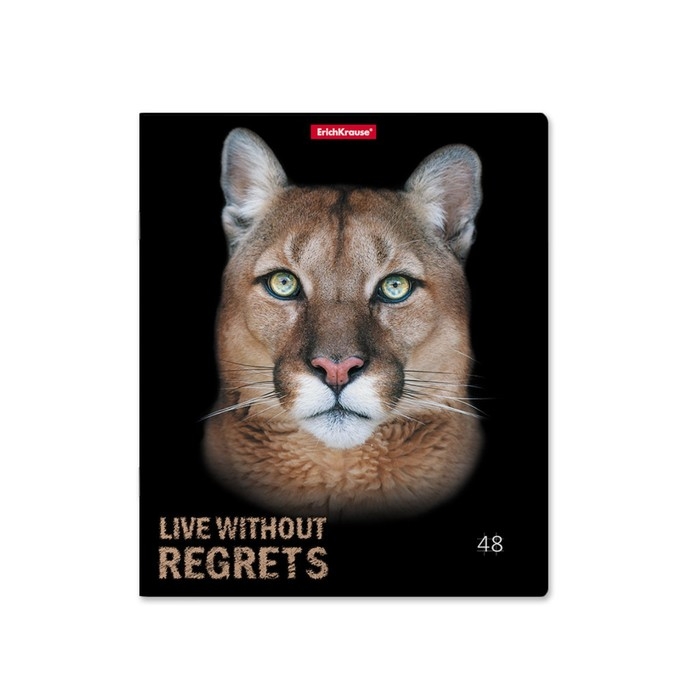 Тетрадь 48 листов в клетку, ErichKrause Strong and Brave, обложка мелованный картон, матовая ламинация, блок офсет 100% белизна, МИКС (1 вид в спайке) Тетрадь 48 листов в клетку, ErichKrause Strong and Brave, обложка мелованный картон, матовая ламинация, блок офсет 100% белизна, МИКС (1 вид в спайке)