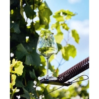 Бокал для вина Chef&Sommelier OPEN UP, 320 мл, стекло Бокал для вина Chef&Sommelier OPEN UP, 320 мл, стекло