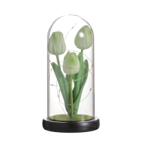 Ночник колба «Тюльпаны» LED 3хААА зеленый 10,5х10,5х22см Ночник колба «Тюльпаны» LED 3хААА зеленый 10,5х10,5х22см