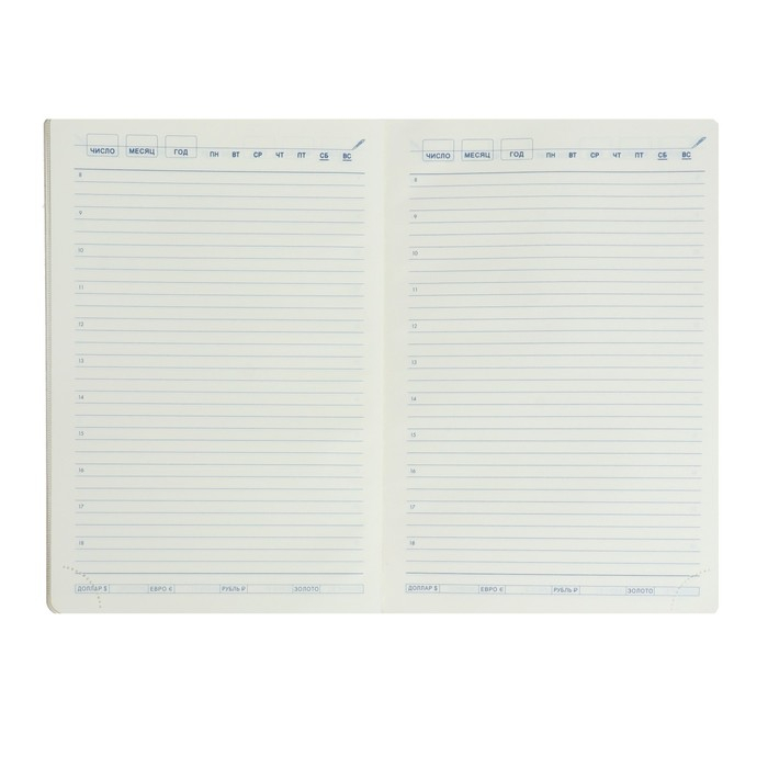 Ежедневник недатированный А5, 140 листов в клетку, с хлястиком, обложка пвх, МИКС