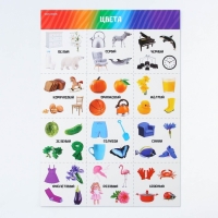 Набор обучающих плакатов «Изучаем мир», 10 в 1, А4 Набор обучающих плакатов «Изучаем мир», 10 в 1, А4