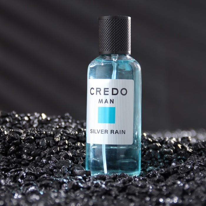 Туалетная вода мужская CREDO MAN Silver Rain, 100 мл (по мотивам Azzaro Chrome (Azzaro)