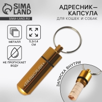 Адресник «Талисман» для вложения записки, капсула 5.2х1.4 см Адресник «Талисман» для вложения записки, капсула 5.2х1.4 см