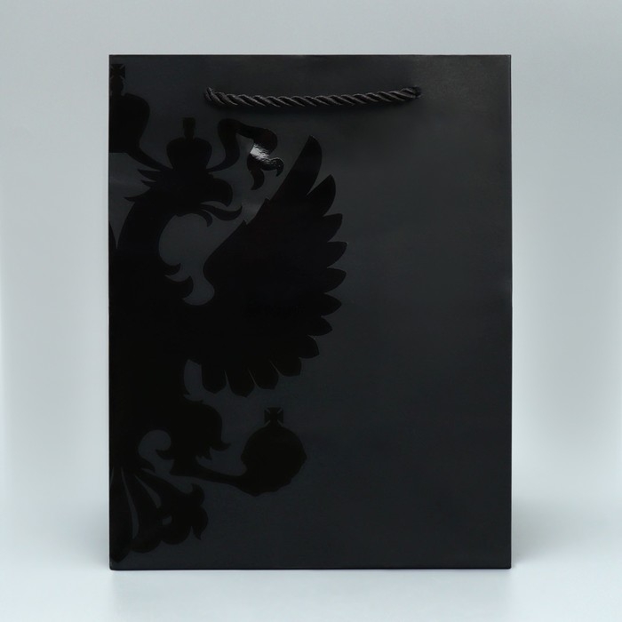 Пакет подарочный, упаковка, &laquo;Герб&raquo;, MS 18 х 23 х 12 см