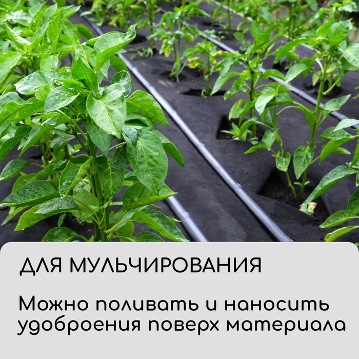 Материал для ландшафтных работ, 10 × 0,8 м, плотность 90 г/м², спанбонд с УФ-стабилизатором, чёрный, Greengo, Эконом 30% Материал для ландшафтных работ, 10 × 0,8 м, плотность 90 г/м², спанбонд с УФ-стабилизатором, чёрный, Greengo, Эконом 30%