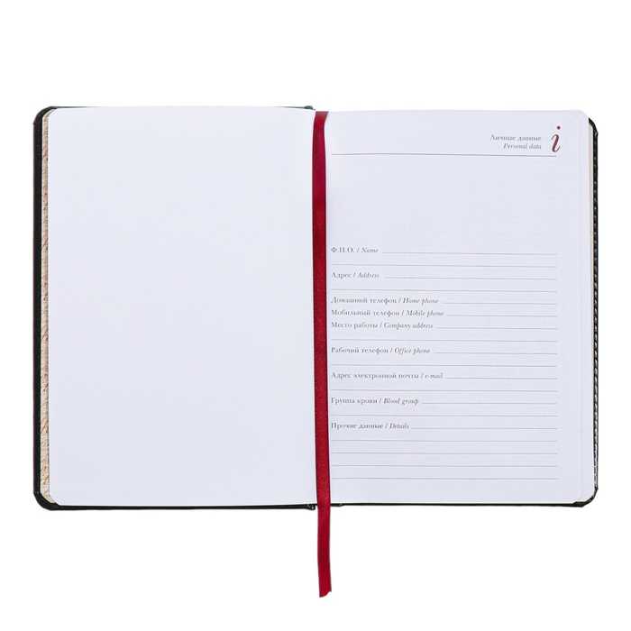 Ежедневник недатированный А5+, 136 листов Sidney Nebraska, твёрдая обложка, искусственная кожа, серебряный срез, чёрный