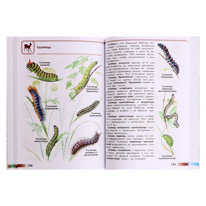 Учебное пособие. ФГОС. Атлас-определитель. От земли до неба, новое оформление. Плешаков А. А. Учебное пособие. ФГОС. Атлас-определитель. От земли до неба, новое оформление. Плешаков А. А.