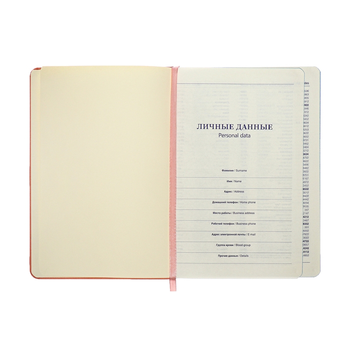 Ежедневник недатированный A5, 140л, клетка, кожзам, на резинке, бирюзовый срез, Розовый Ежедневник недатированный A5, 140л, клетка, кожзам, на резинке, бирюзовый срез, Розовый