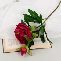 Цветы искусственные "Пион дуо" 12х60 см, бордовый Цветы искусственные "Пион дуо" 12х60 см, бордовый