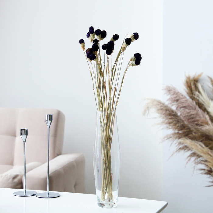 Сухоцвет «Гомфрена шаровидная» набор 20 шт., цвет тёмно-фиолетовый Сухоцвет «Гомфрена шаровидная» набор 20 шт., цвет тёмно-фиолетовый