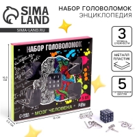 Головоломка металлическая &laquo;Мозг человека&raquo;, набор 5 шт.