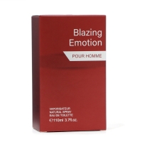 Туалетная вода мужская Blazing Emotion, 110 мл Туалетная вода мужская Blazing Emotion, 110 мл
