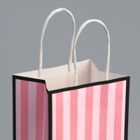Пакет подарочный крафтовый, упаковка, &laquo;Красота&raquo;, 12 х 21 х 9 см