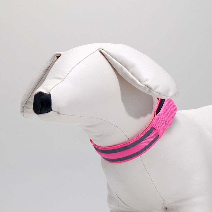 Ошейник с подсветкой Двойная полоса размер S, ОШ 35-43 х 2,5 см 3 режима свечения розовый Ошейник с подсветкой Двойная полоса размер S, ОШ 35-43 х 2,5 см 3 режима свечения розовый