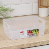 Корзина для хранения Scandi, 3,1 л, 24&times;17&times;9 см, цвет прозрачный