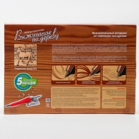 Набор для выжигания по дереву &laquo;Утренняя прогулка&raquo;