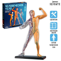 Научный опыт &laquo;Человеческое тело&raquo;