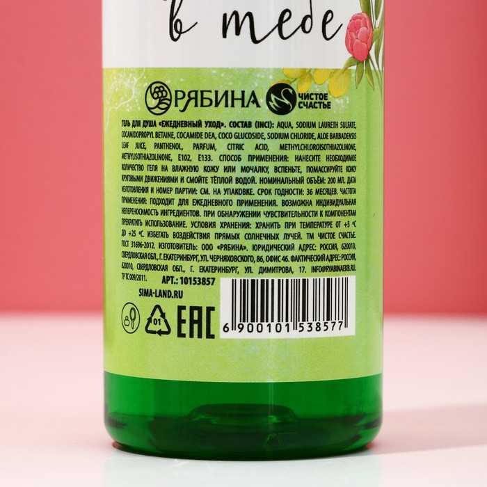 Подарочный набор косметики &laquo;Время сиять&raquo;, гель для душа 200 мл и шампунь для волос 200 мл, ЧИСТОЕ СЧАСТЬЕ