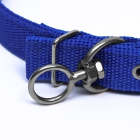 Ошейник двухслойный с вертлюгом, 55 х 2,5 см, полиэстер, синий Ошейник двухслойный с вертлюгом, 55 х 2,5 см, полиэстер, синий