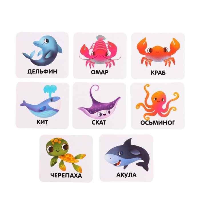 Развивающий набор «Морские обитатели», задания на карточках, маркер Развивающий набор «Морские обитатели», задания на карточках, маркер