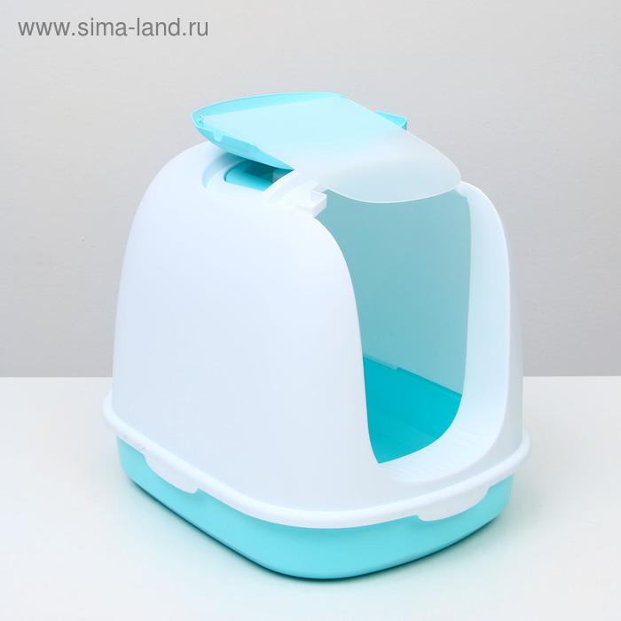 Туалет закрытый с совком, 47 х 40 х 39 см, бело-голубой Туалет закрытый с совком, 47 х 40 х 39 см, бело-голубой