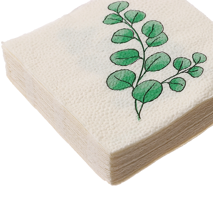 Салфетки бумажные однослойные Салфетки бумажные однослойные "Эко" эвкалипт 24х24 см, набор 50 шт.