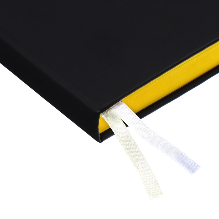 Ежедневник датированный 2025 года, deVENTE. Flag, A5 168 листов, deVENTE. Duo, твердая обложка кожзам с поролоном, шелкография, перфорация, ляссе, блок 70 г/м2