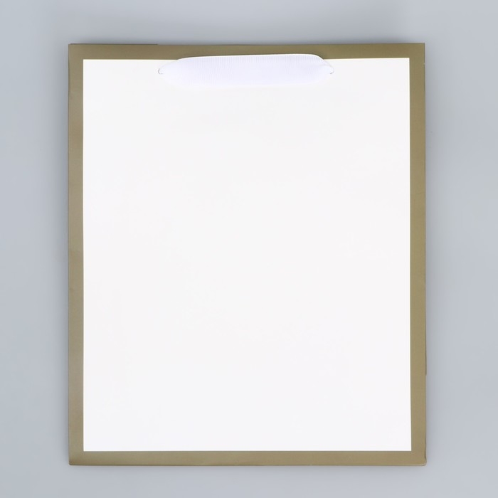 Пакет подарочный, упаковка, &laquo;Белый&raquo;, 27 х 23 х 11.5 см