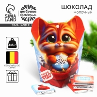 Новый год! Шоколад молочный в упаковке &laquo;Котик&raquo;, 5 гр х 4 шт