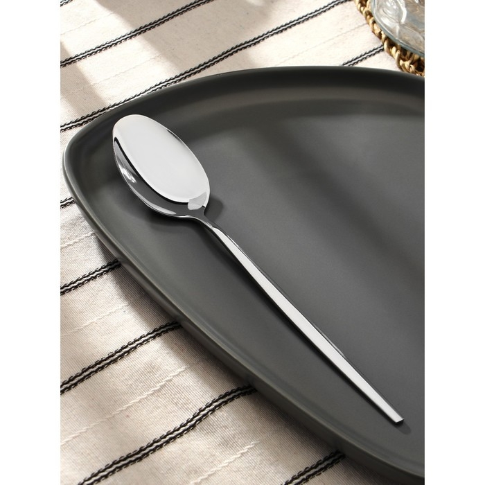 Ложка столовая из нержавеющей стали Magistro «Блинк», длина 22 см, цвет серебряный Ложка столовая из нержавеющей стали Magistro «Блинк», длина 22 см, цвет серебряный