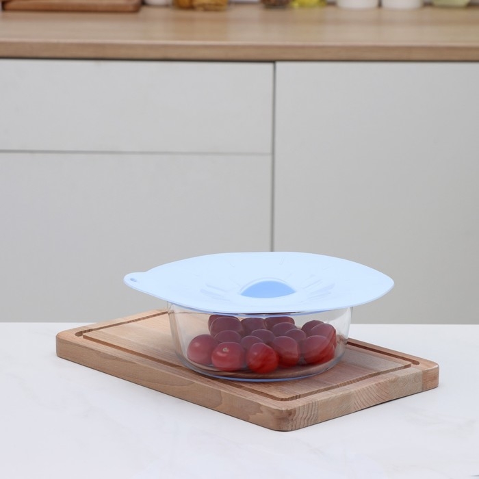 Крышка для хранения Доляна &laquo;Симпл&raquo;, силикон, d=21 см, цвет голубой