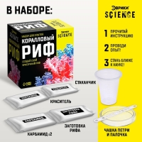 Набор для опытов &laquo;Коралловый риф&raquo;