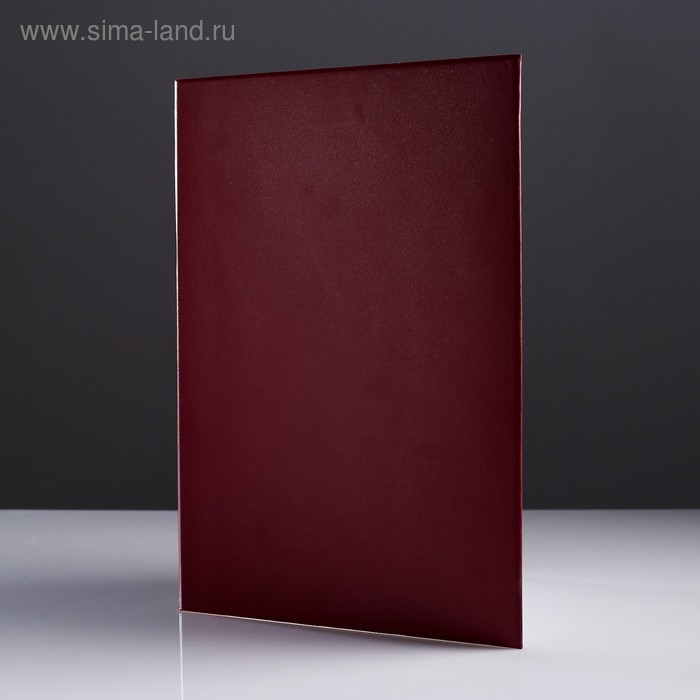 Папка адресная Папка адресная "Универсальная" бумвинил, мягкая, бордовый, А4