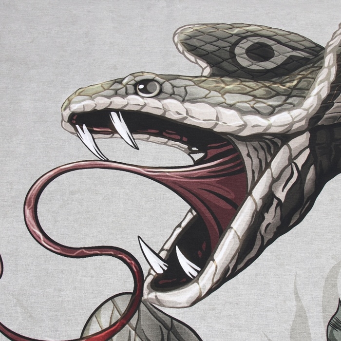 Постельное бельё Постельное бельё "Этель" 1.5 сп Snake and roses 143х215 см, 150х214 см, 50х70 см - 2 шт, бязь