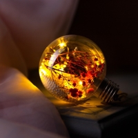 Ёлочный шар «Розовые сухоцветы», батарейки, 5 LED, свечение тёплое белое Ёлочный шар «Розовые сухоцветы», батарейки, 5 LED, свечение тёплое белое