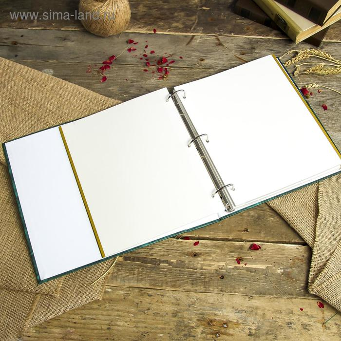 Фотоальбом магнитный 50 листов Image Art  серия 146 классика 23х28 см МИКС