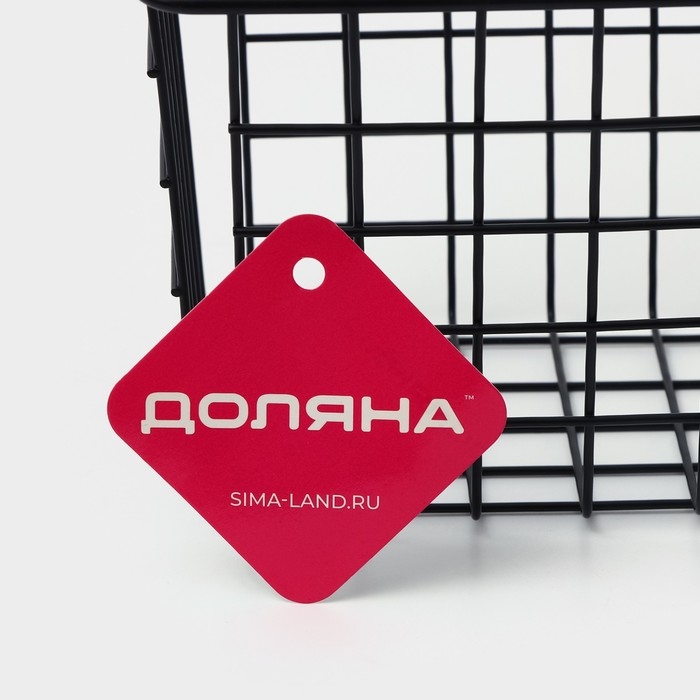 Корзина подвесная на шкаф или дверцу Доляна, 26×13,5×17 см, цвет чёрный Корзина подвесная на шкаф или дверцу Доляна, 26×13,5×17 см, цвет чёрный