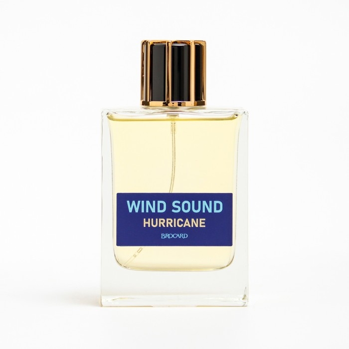 Туалетная вода мужская Туалетная вода мужская "Звук Ветра", "Ураган", 100 мл