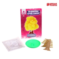 Набор для выращивания кристалла &laquo;Волшебное дерево&raquo; цвет жёлтый