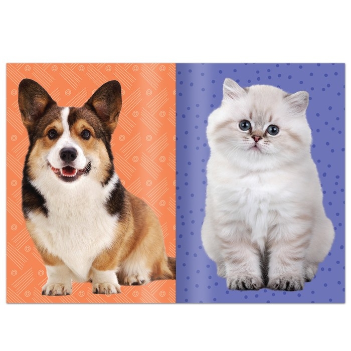 Книга с наклейками &laquo;Укрась питомца&raquo;, 12 стр., 55 наклеек