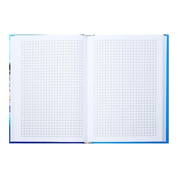 Бизнес-блокнот А5 160 листов в клетку "Остров мечты", твёрдая обложка, глянцевая ламинация, МИКС