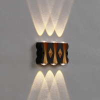 Светильник фасадный &laquo;Глосс&raquo;, FSD-045, 6 Вт, 3000К, 3 луча, IP65, 220 В, пластик, черный