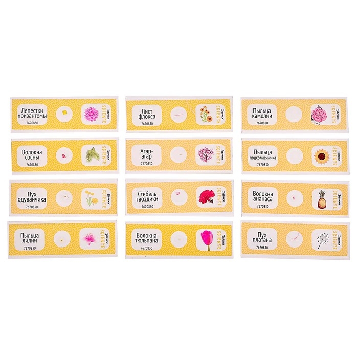 Набор для опытов &laquo;Набор микропрепаратов&raquo;, цветы