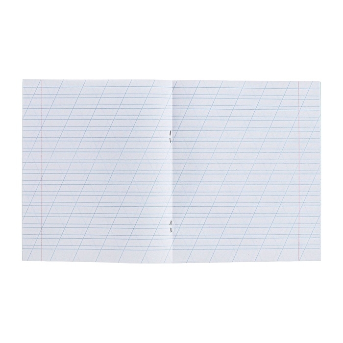 Комплект тетрадей из 20 штук, 12 листов в косую линию КПК Комплект тетрадей из 20 штук, 12 листов в косую линию КПК "Зёленая обложка", блок офсет, белизна 90%