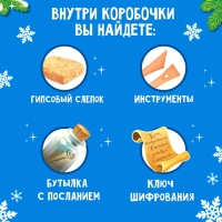 Набор для раскопок «Послание от Деда Мороза» бутылочка, камни Набор для раскопок «Послание от Деда Мороза» бутылочка, камни